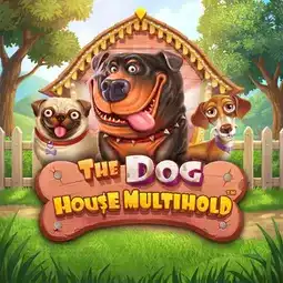 The Dog House Multihold game at 333 Casino for United Kingdom players